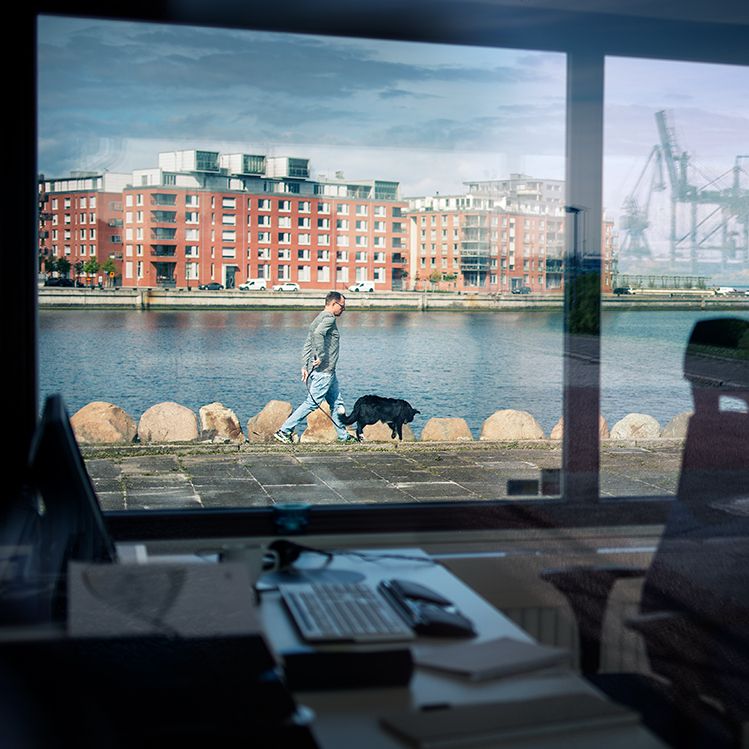 Utsikt från Hamnpaviljongen mot Dockan och en man går utanför fönstret med en hund 